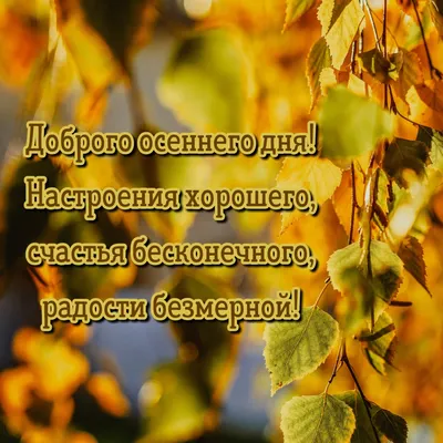 Картинки "Хорошего осеннего дня" (65 открыток) • Прикольные картинки и  позитив