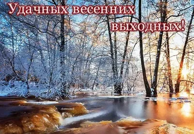 Прекрасных новогодних выходных - 66 фото