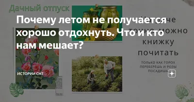 Почему летом не получается хорошо отдохнуть. Что и кто нам мешает? |  Истории СНТ | Дзен