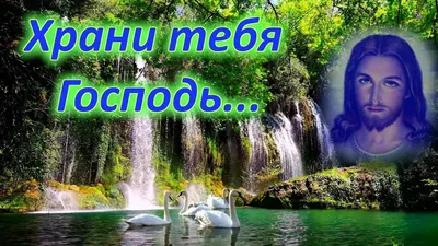 X 上的 Nina：「@HelenPapamakar1 Доброе утро! Пусть вас Бог оберегает,, Если  трудно помагает,, Бережет от зла, нарасти,, Дарит солнце,, свет, и счастье  /eYTaH6Sf15」 / X