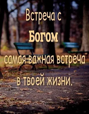 Пин от пользователя Натали Григерман на доске А Доброе утро,  привет,благословение, хорошего дня | Христианские цитаты, Христианские  картинки, Библейские цитаты