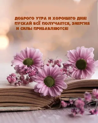 Картинки благословенного утра и прекрасного дня христианские с надписями  весна (67 фото) » Картинки и статусы про окружающий мир вокруг