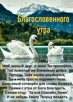 Постер 34х26см "Любовь долготерпит…" (Цветы) - христианские постеры с  цитатами из Библии - Издательский Дом Христофор