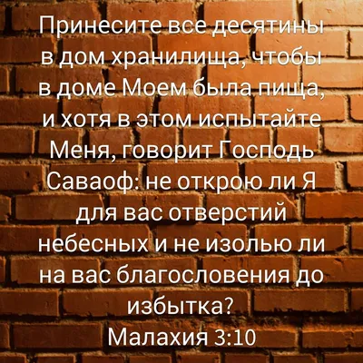 О христианской семье. Любовь, подвиг и юмор купить с доставкой в  интернет-магазине | 