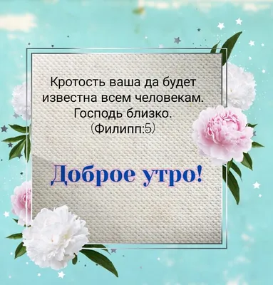 Картинка "Доброго зимнего утра!" с собакой и котиком • Аудио от Путина,  голосовые, музыкальные