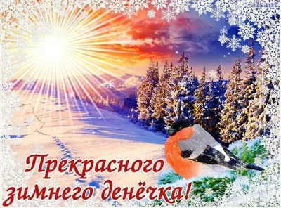 Открытка "Самого доброго зимнего утра", с котом в сугробе • Аудио от  Путина, голосовые, музыкальные