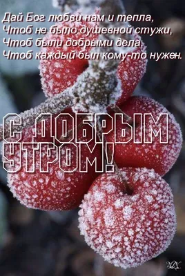 Доброе зимнее утро воскресенья - новые картинки (92 ФОТО) | Утро  воскресенья, Картинки, Открытки