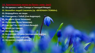 Портал ТВОЛК поздравляет православных христиан со Светлой Пасхой Христовой