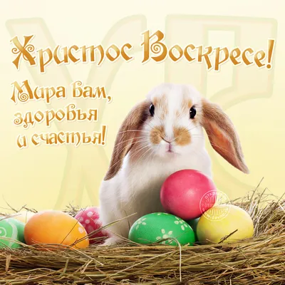 Христос Воскрес! - картинки та листівки, поздоровлення. | Easter  traditions, About easter, Postcard