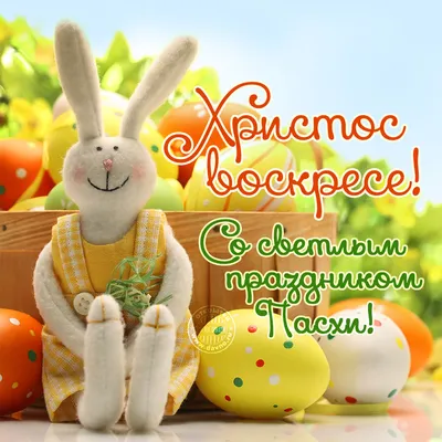 Христос Воскрес! | Happy easter wishes, Easter time, Easter wishes