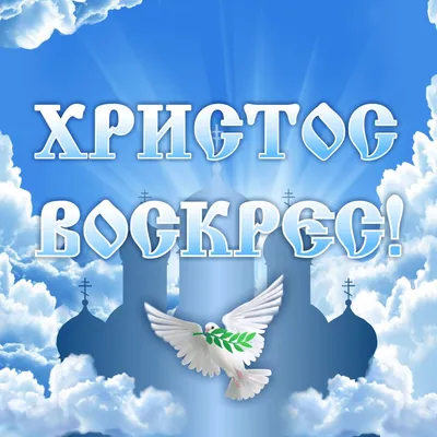 Купить Баннер Христос Воскрес 📄 с доставкой по Беларуси | интернет-магазин  