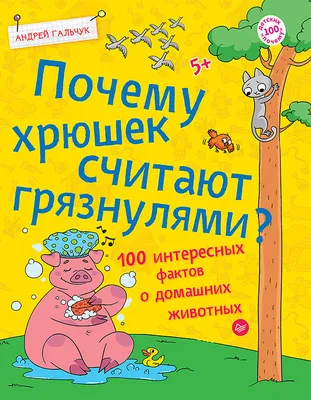 На райском пляже со свинками. Сотни хрюшек оккупировали Багамы, но всем это  нравится