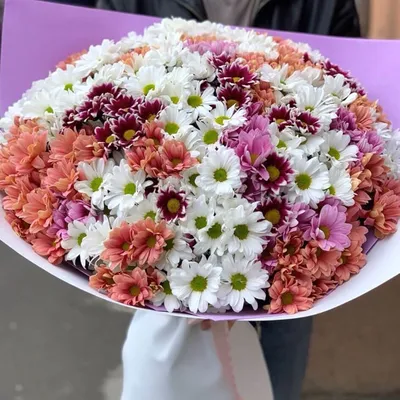 Букеты из 41 хризантемы купить в Москве ✿ Доставка: 0 ₽ при заказе от 3 000  ₽ ✿ Букеты цветов от Venus in Fleurs