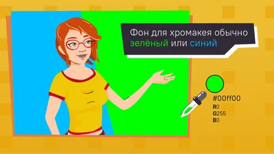 Купить Фотофон хромакей GreenBean Chromakey Screen 1518G складной - в  фотомагазине , цена, отзывы, характеристики