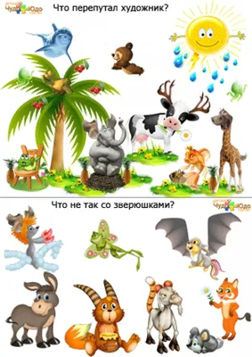 Художник -вектор PNG Изображения - PNG All