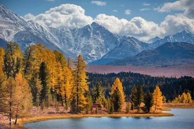 ХУДОЖНИК НА ПРИРОДЕ, ХУДОЖНИЦА НА ПРИРОДЕ, ФОТОСЕССИЯ ДЛЯ ХУДОЖНИЦЫ,  ХУДОЖНИЦА, ФОТОСЕССИЯ | Фотосессия, Осенние фотосессии, Природа