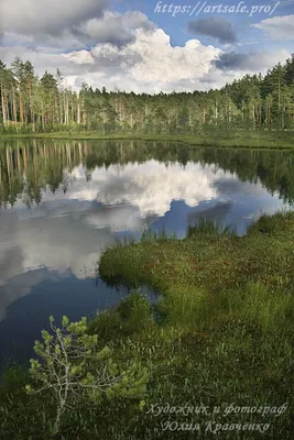 Утро на озере Художников — Фото №1429204