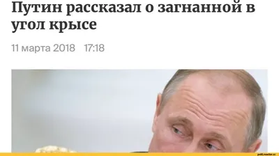 Путін Хуйло, Справжня Класика Української Народної Творчості, Фраза якою  пишався би навіть Кобзар, Фраза, котру знає кожна людина що має стосунки з  Україною, Putin Huilo" Greeting Card for Sale by enjoytheshirt |