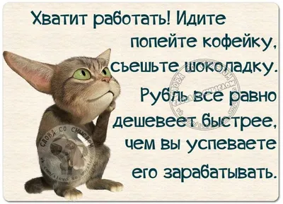 Хватит мечтать, займись делом! Почему важнее хорошо работать, чем искать  хорошую работу. Кэл Ньюпорт (ID#1528339286), цена:  ₴, купить на  