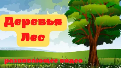 ДЕРЕВЬЯ. ЛЕС. 🌳🌲Изучаем лиственные и хвойные деревья. Развивающее видео.  Листья деревьев.🍃 - YouTube