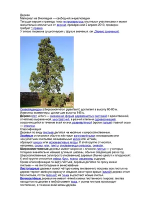Деревья для макетов лиственные хвойные NEPODARKI 139873683 купить за 150  200 сум в интернет-магазине Wildberries
