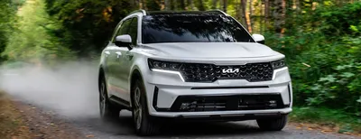 2024 Kia Sorento Review -- Sorento Hybrid, Plug In Hybrid Explained