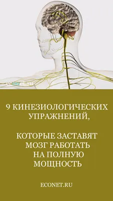 Кинезиология в развитии дошкольников. | Психология отношений. Детская  психология. Развитие. | Дзен