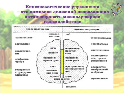 Кинезиология в логопедии. Игры и упражнения в картинках