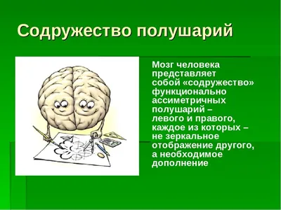 КИНЕЗИОЛОГИЧЕСКИЕ УПРАЖНЕНИЯ, РАЗВИВАЮЩИЕ МЕЖПОЛУШАРНОЕ ВЗАИМОДЕЙСТВИЕ |  Нетипичный учитель | Дзен