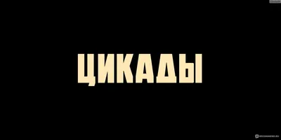 Продюсерский центр Яндекса расширил библиотеку франшиз для разных сервисов  Плюса - МК Ярославль