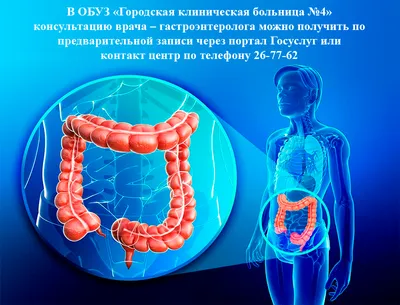 Лечение кишечника. Лечение лечение кишечника от ведущих докторов | Лучшие  клиники | Отзывы | 