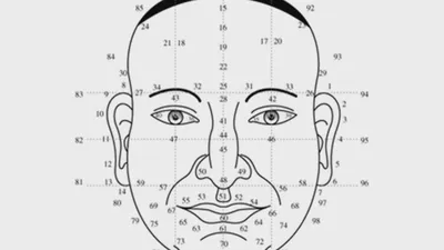 Китайская физиогномика: диагностика судьбы и здоровья