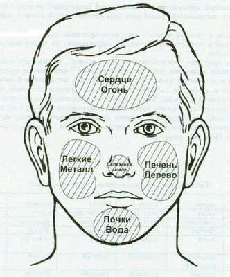 Точки богатства на лице. Китайская физиогномика | Фэн-шуй для жизни | Дзен