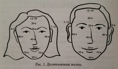 Физиогномика – это один из инструментов диагностики человека