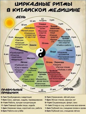 Клиника доктора Гао: лечение иглоукалыванием и массажем в Москве.  Традиционная китайская медицина. (中医诊所)