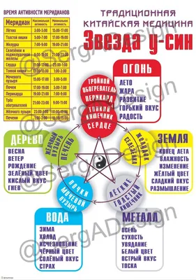 Традиционная китайская медицина: человек превыше всего (+ простые  упражнения для здоровья на каждый день) — Вечерний Гродно