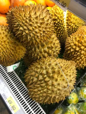 Китайские фрукты картинки