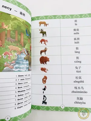 Легкий китайский язык для детей. Учебник 1 — купить в интернет-магазине по  низкой цене на Яндекс Маркете