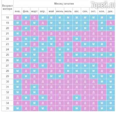 Китайський гороскоп на 2024 год Дракона для восточных знаков зодиака по  году рождения