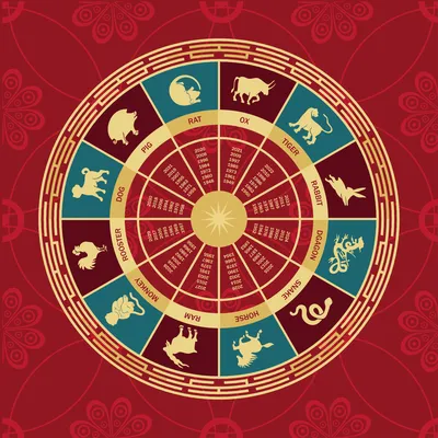 Китайский гороскоп 2023 – что ждет все знаки в год Кролика | РБК Украина