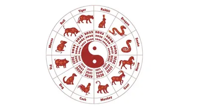 Быка ждет счастье, а Змею — деньги: китайский гороскоп на декабрь 2023 для  каждого знака зодиака