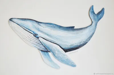 кит, акварель | Watercolor whale, Whale art, Watercolor art paintings