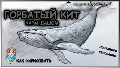 Нарисованные киты - красивые фото