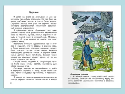 Книга Кладовая солнца - купить детской художественной литературы в  интернет-магазинах, цены на Мегамаркет |