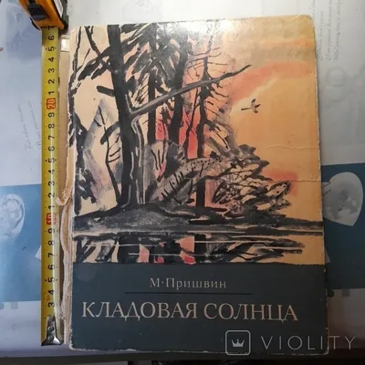 Кладовая солнца. М. Пришвин. 1974 год. - «VIOLITY»