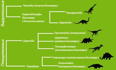 Классификация динозавров 54 картинки