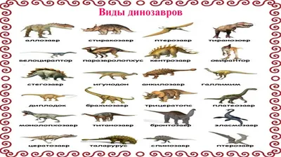 Динозавры онлайн dinosaurs, бесплатно динозавры хищные, фото динозавры  юрского периода, доисторические динозавры в картинках, самый большой  динозавр, виды динозавров энциклопедия, скелет динозавра, названия  динозавров эпоха, ихтиозавры, плезиозавры ...