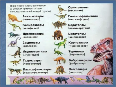 Предложен фундаментальный пересмотр классификации динозавров | Пикабу