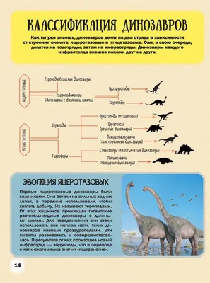Детский иллюстрированный атлас динозавров Ирина Барановская - купить книгу  Детский иллюстрированный атлас динозавров в Минске — Издательство АСТ на  