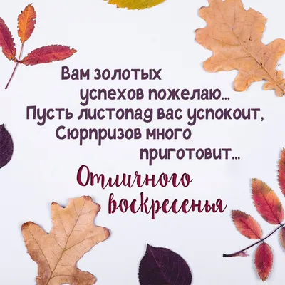 Доброе утро воскресенья! С добрым воскресным утром! Открытка с добрым утром  воскресенья! Миньон... | Страница 1